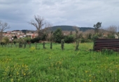 Parcel·la urbanitzable en venda a la España, Arnuero, ref.: TR252742 foto