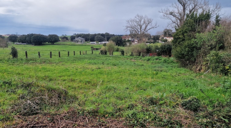 Cantabria - Palacio - 2031m2