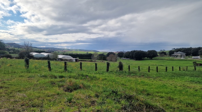 Cantabria - Palacio - 2031m2