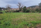 Parcel·la urbanitzable en venda a la España, Arnuero, ref.: TR252742 foto
