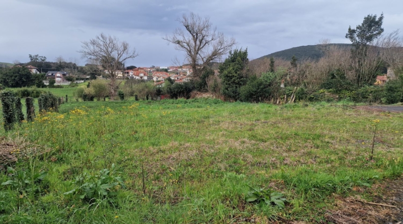 Cantabria - Palacio - 2031m2