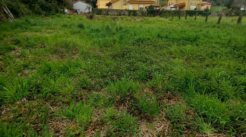 Cantabria - Palacio - 2031m2