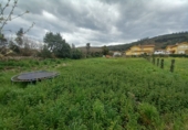 Parcel·la urbanitzable en venda a la España, Arnuero, ref.: TR252742 foto