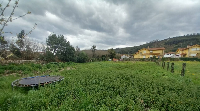 Cantabria - Palacio - 2031m2
