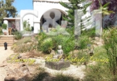 Finca rústica en venda a Eivissa ref.: TR202069 foto