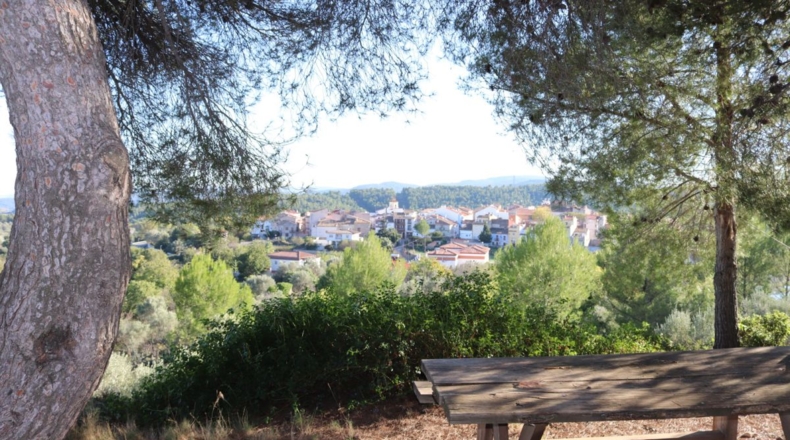 Castellón - Castellón de la Plana - 445m2