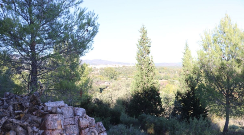 Castellón - Castellón de la Plana - 445m2