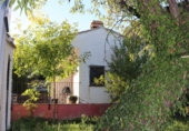 Rural estate for sale in Jérica ref: TR82041 photo