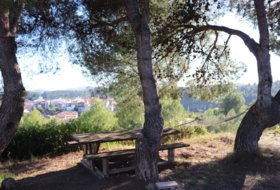 Foto 16