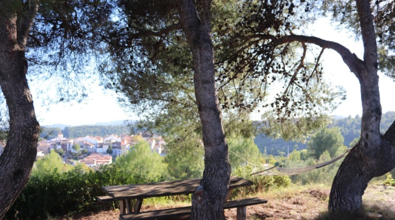 Castellón - Castellón de la Plana - 445m2