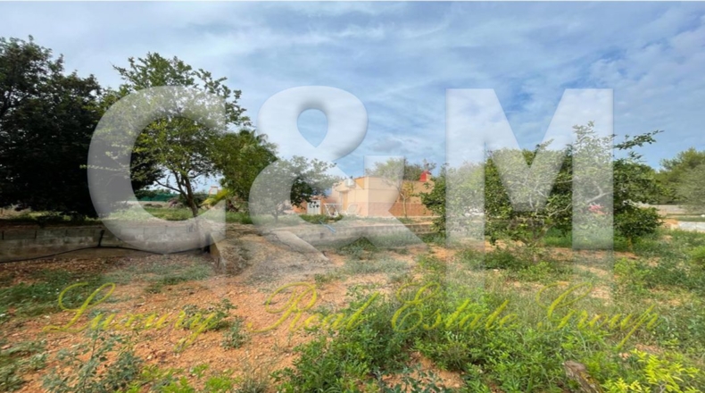 Islas Baleares - Ibiza - 2262m2