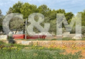 Finca rústica en venda a Eivissa ref.: TR202068 foto