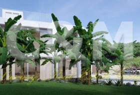Santa Eulària des Riu 600&nbsp;m² 