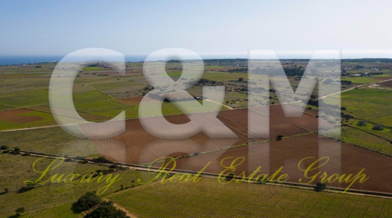 Islas Baleares - la Savina - 15000m2