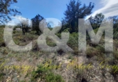 Non-developable land for sale in Sant Josep de sa Talaia ref: TR107561 photo