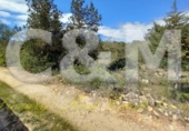 Non-developable land for sale in Sant Josep de sa Talaia ref: TR107561 photo