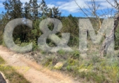Non-developable land for sale in Sant Josep de sa Talaia ref: TR107561 photo