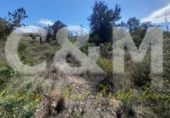 Non-developable land for sale in Sant Josep de sa Talaia ref: TR107561 photo