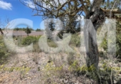 Non-developable land for sale in Sant Josep de sa Talaia ref: TR107561 photo