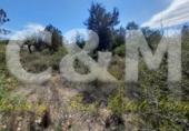 Non-developable land for sale in Sant Josep de sa Talaia ref: TR107561 photo