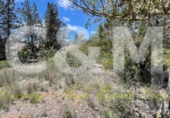 Non-developable land for sale in Sant Josep de sa Talaia ref: TR107561 photo