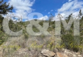 Non-developable land for sale in Sant Josep de sa Talaia ref: TR107561 photo