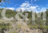 Non-developable land for sale in Sant Josep de sa Talaia ref: TR107561 photo