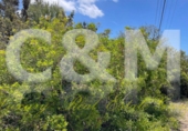 Non-developable land for sale in Sant Josep de sa Talaia ref: TR107561 photo