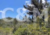 Non-developable land for sale in Sant Josep de sa Talaia ref: TR107561 photo