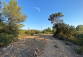 Non-developable land for sale in Sant Josep de sa Talaia ref: TR109041 photo