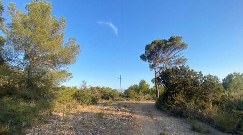 Islas Baleares - San José - 20000m2