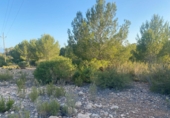 Non-developable land for sale in Sant Josep de sa Talaia ref: TR109041 photo