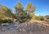 Non-developable land for sale in Sant Josep de sa Talaia ref: TR109041 photo