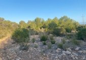 Non-developable land for sale in Sant Josep de sa Talaia ref: TR109041 photo