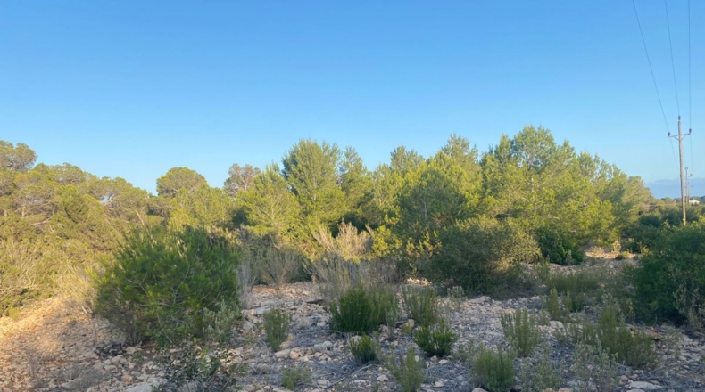 Islas Baleares - San José - 20000m2