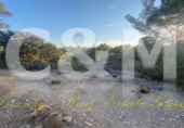 Non-developable land for sale in Sant Josep de sa Talaia ref: TR109041 photo
