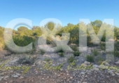 Non-developable land for sale in Sant Josep de sa Talaia ref: TR109041 photo