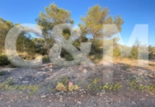 Non-developable land for sale in Sant Josep de sa Talaia ref: TR109041 photo