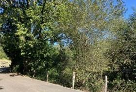 Foto 18