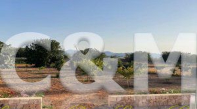 Islas Baleares - San Antonio Abad - 48000m2