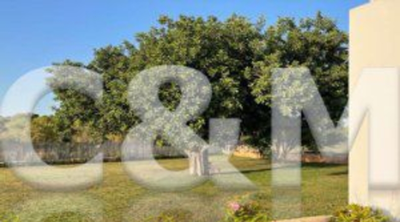 Islas Baleares - San Antonio Abad - 48000m2