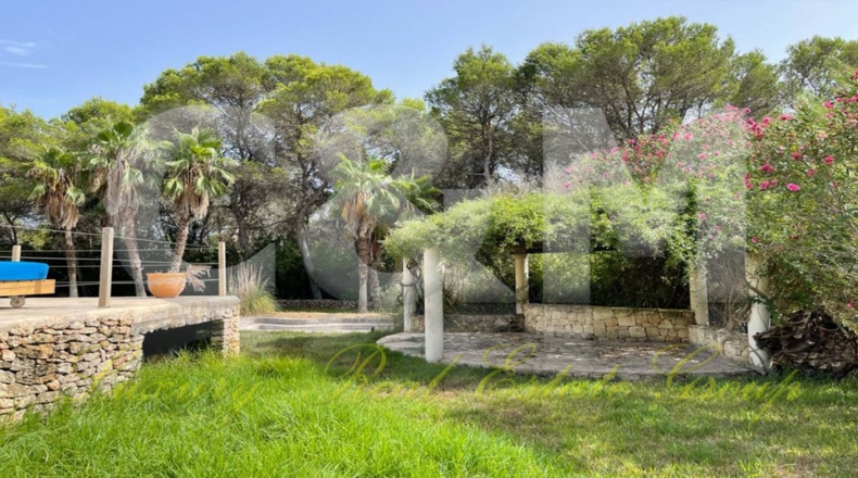 Balearic Islands - San Rafael - 900m2