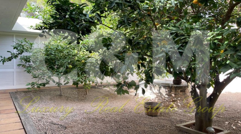 Balearic Islands - San Rafael - 900m2