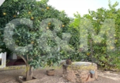 Villa con terreno en venta en Sant Rafel de sa Creu ref: TR101042 foto