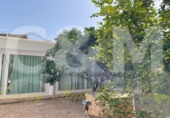Villa con terreno en venta en Sant Rafel de sa Creu ref: TR101042 foto