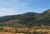 Casa de poble en venda a la España, la Serra d'en Galceran, ref.: TR41050 foto