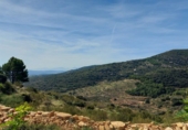 Casa de poble en venda a la España, la Serra d'en Galceran, ref.: TR41050 foto