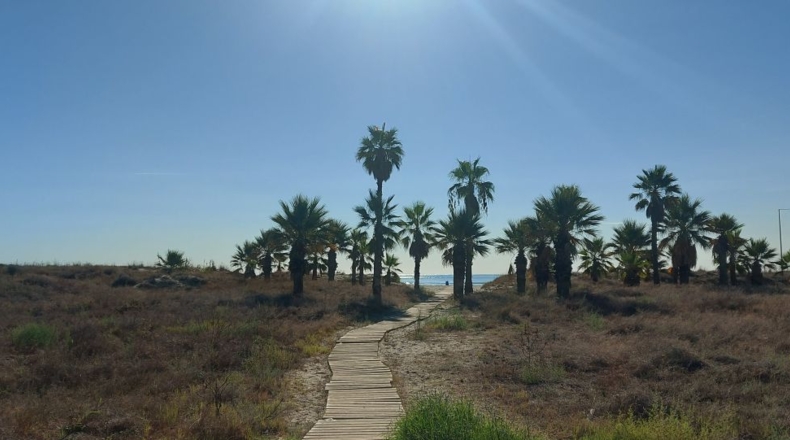 Castellón - Castellón de la Plana - 800m2