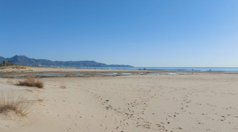 Castellón - Castellón de la Plana - 800m2