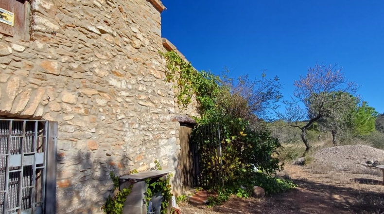 Castellón - Sierra Engarcerán - 22000m2
